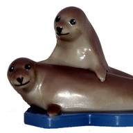  	Seehunde